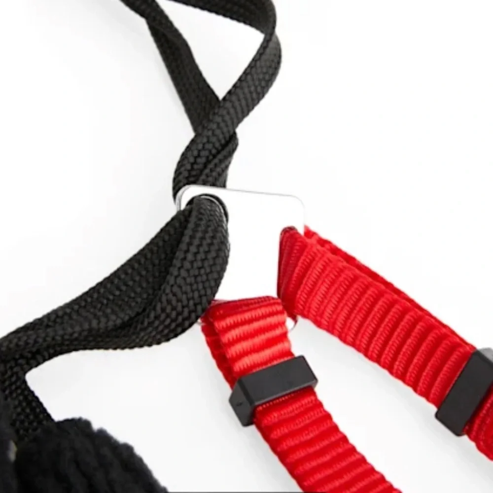 NWT Embrace the pace no pull dog harness L